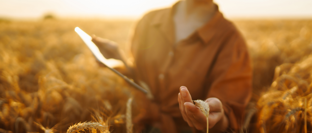 Educación Agrícola